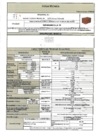 CERAMICA MORATAL – Termoarcilla 19 (Ficha Técnica)