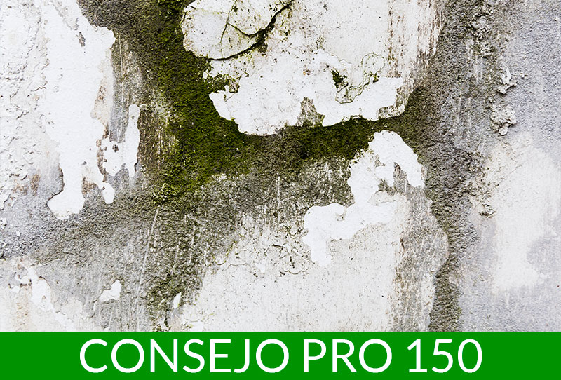 Consejo pro 150 humedades